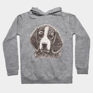 Cute Beagle Lovers  Men Women Hoodie